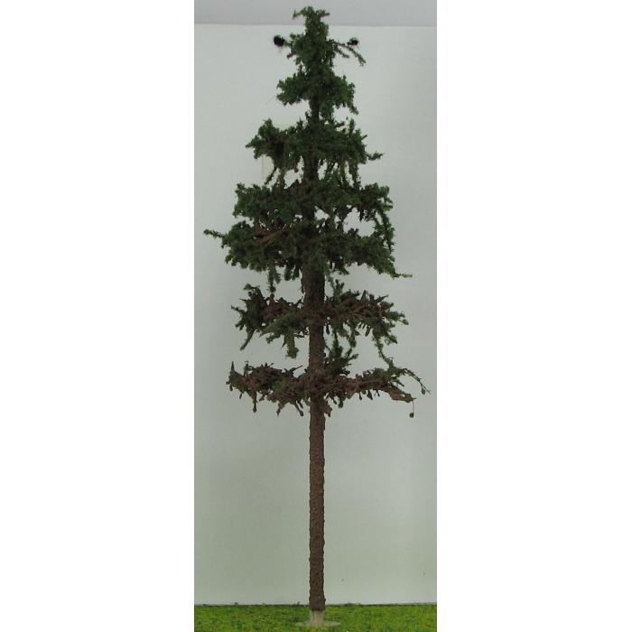 Smrk s kmenem cca 16 cm